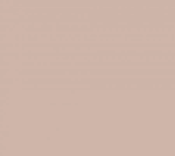 Loymina Lotus LOT1 305