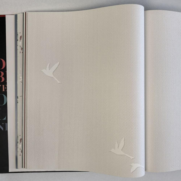 Andrea Rossi Spectrum Box 54458-2