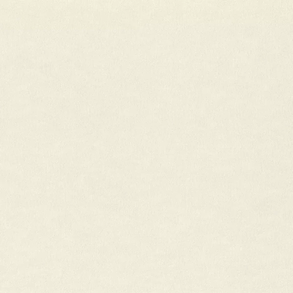 Rasch Wall Textures XL964806