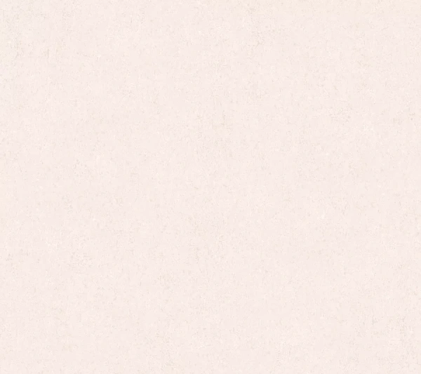 Loymina Terra TER3 001