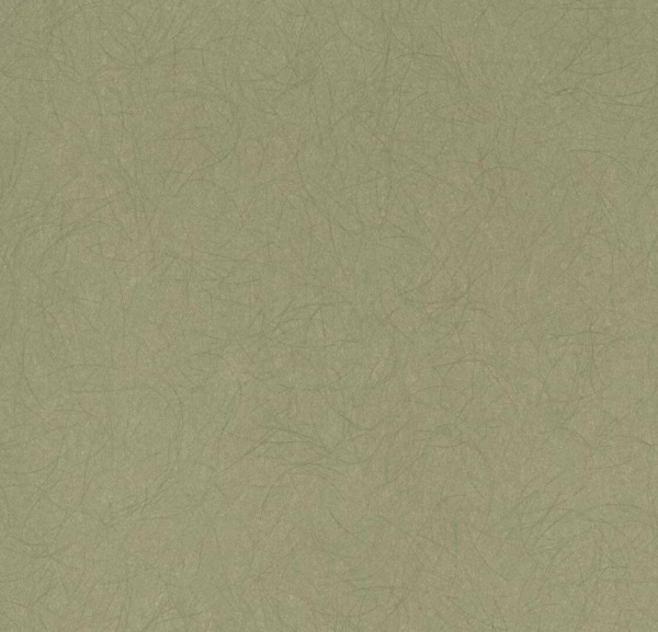 Обои Bernardo Bartalucci Legend 5068-50