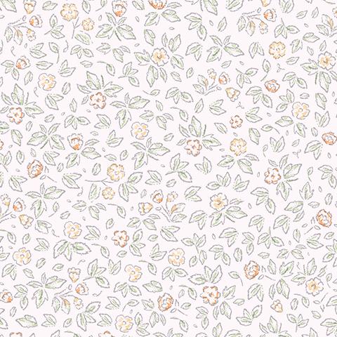 Andrea Rossi Stromboli 54340-4