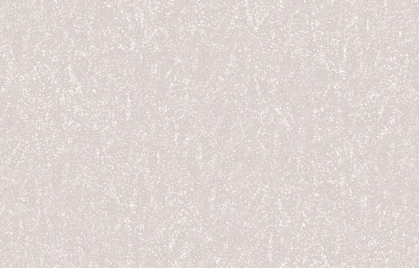 Loymina A la Prima PM7 001