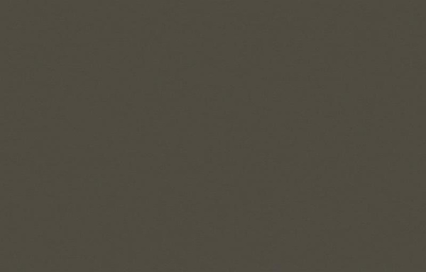 Loymina Equator QTR8 022