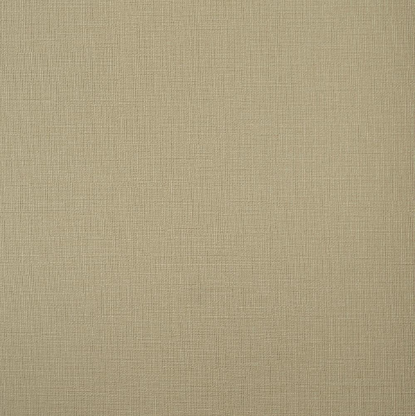 Andrea Rossi Palmaria 54461-6