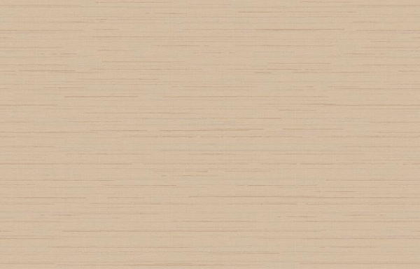 Loymina Amazonia Ins9 002_2