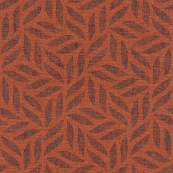 Rasch Kalahari 704655