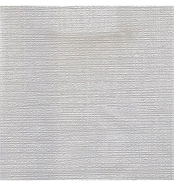 NC Antivandal 4010-15