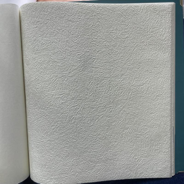 NC Antivandal 5750-12 (3010-010)