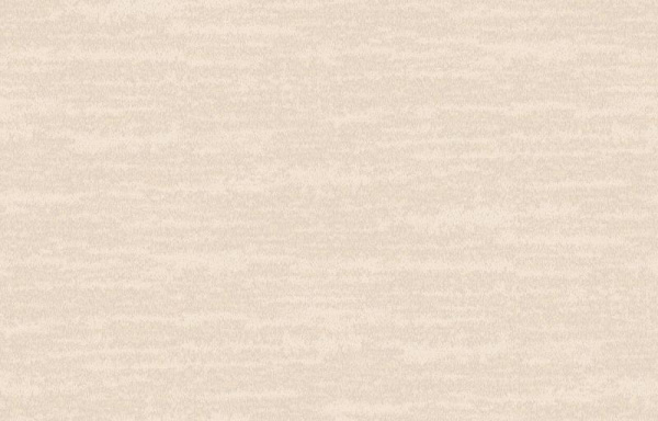 Loymina Amazonia Ins8 002