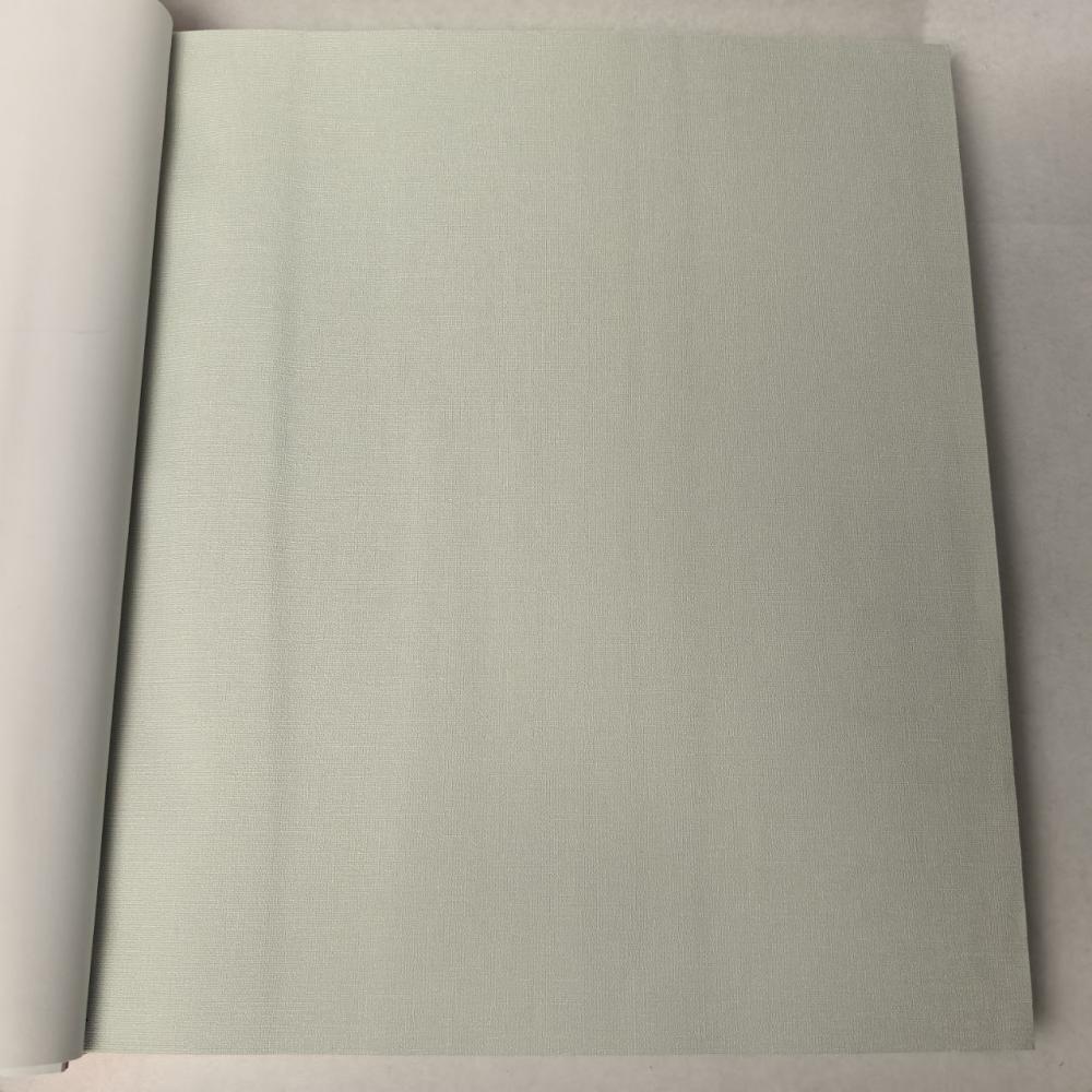 Andrea Rossi Berggi 54452-7