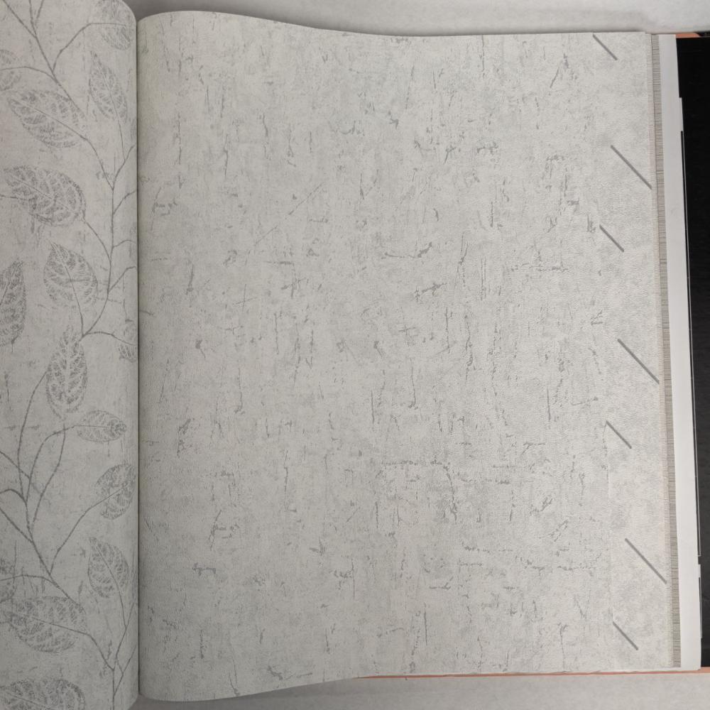 Andrea Rossi Berggi 54442-1