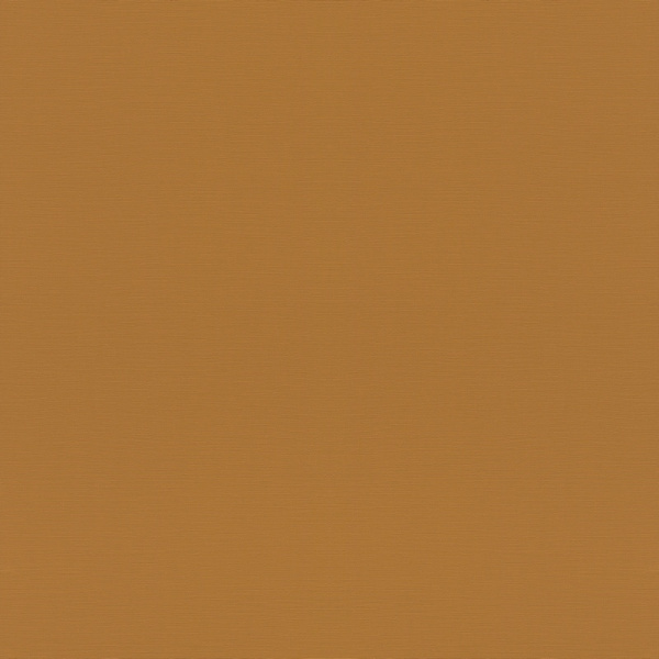 Rasch Natural Colors 688054