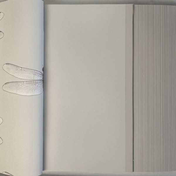 Andrea Rossi Cavolli 54424-4