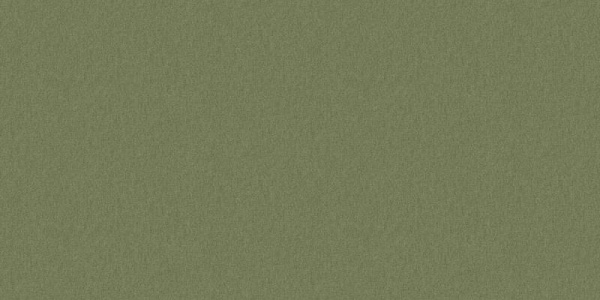 A. Grifoni Palazzo Peterhof 7008-8