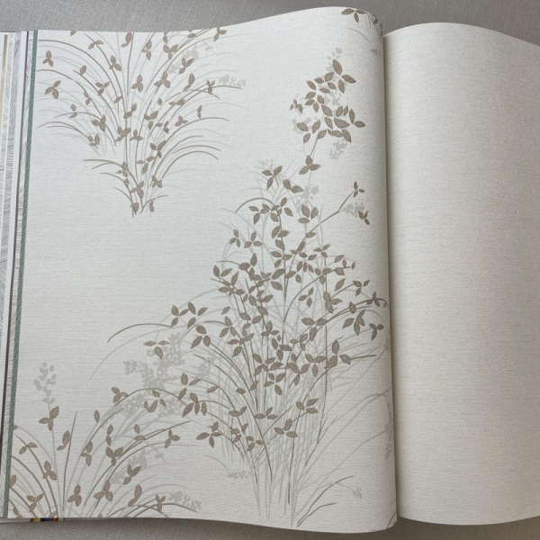 Andrea Rossi Palmaria 54468-3