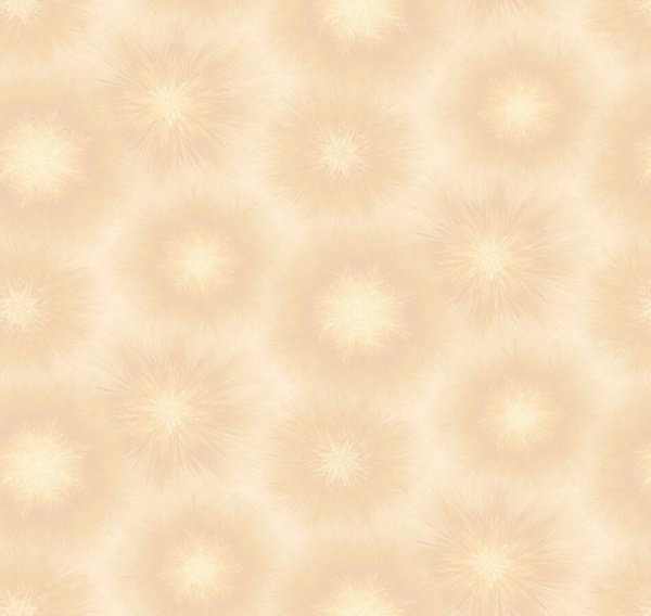 Loymina Timeless TS1 003