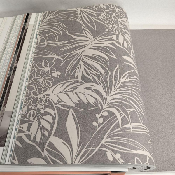 Andrea Rossi Berggi 54446-4