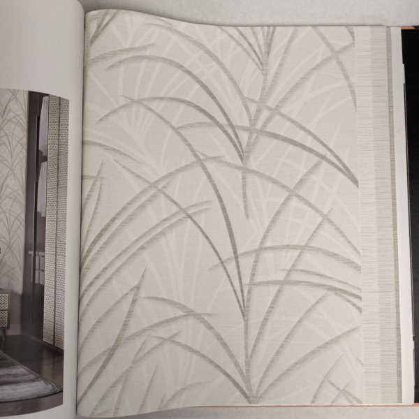 Andrea Rossi Berggi 54439-1