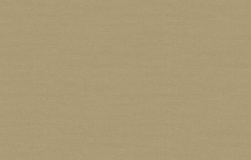 Loymina Equator QTR8 002_1