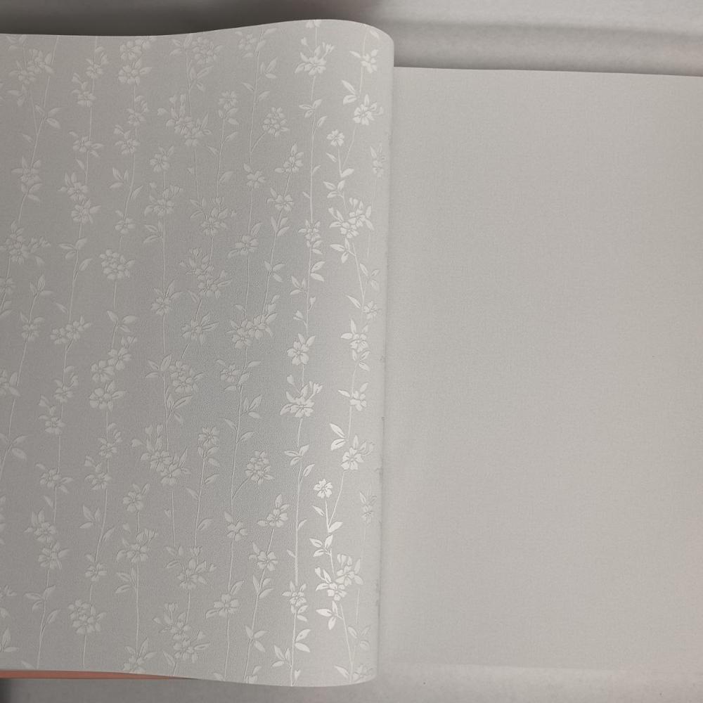 Andrea Rossi Berggi 54451-4