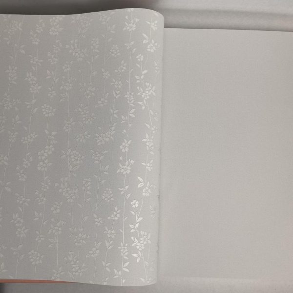 Andrea Rossi Berggi 54451-4