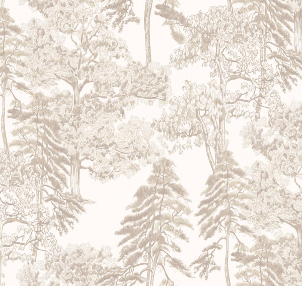 Milassa Ambient AM5 002/2