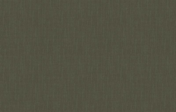 Loymina Shade SD2 005