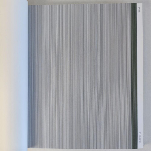 Andrea Rossi Cavolli 54425-7