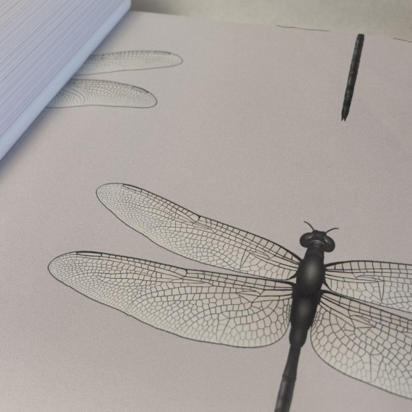 Andrea Rossi Cavolli 54426-3