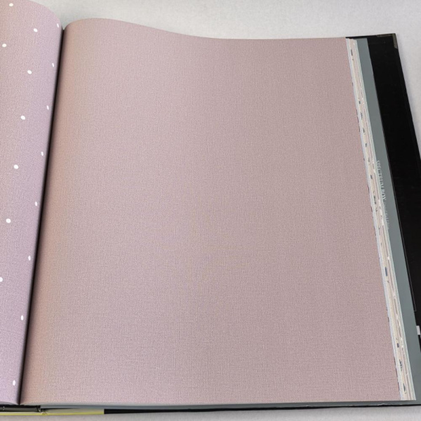 Andrea Rossi Spectrum Box 54455-15